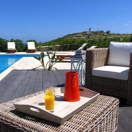 House With Private Pool Naousa (Paros)