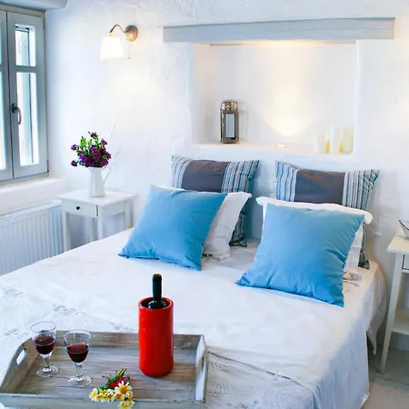 House With Private Pool *