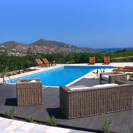 House With Private Pool Naousa