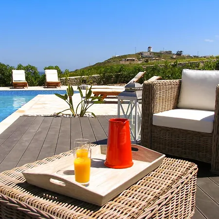 House With Private Pool Villa Naousa