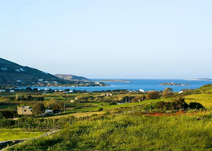 House With Private Pool Villa *