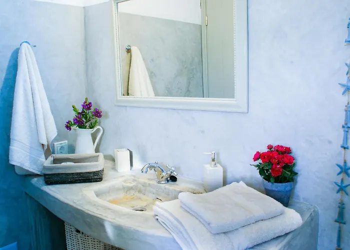 House With Private Pool * Naoussa