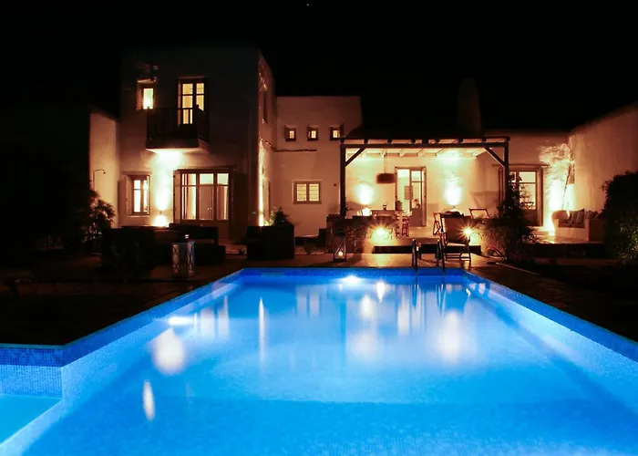 House With Private Pool Naoussa